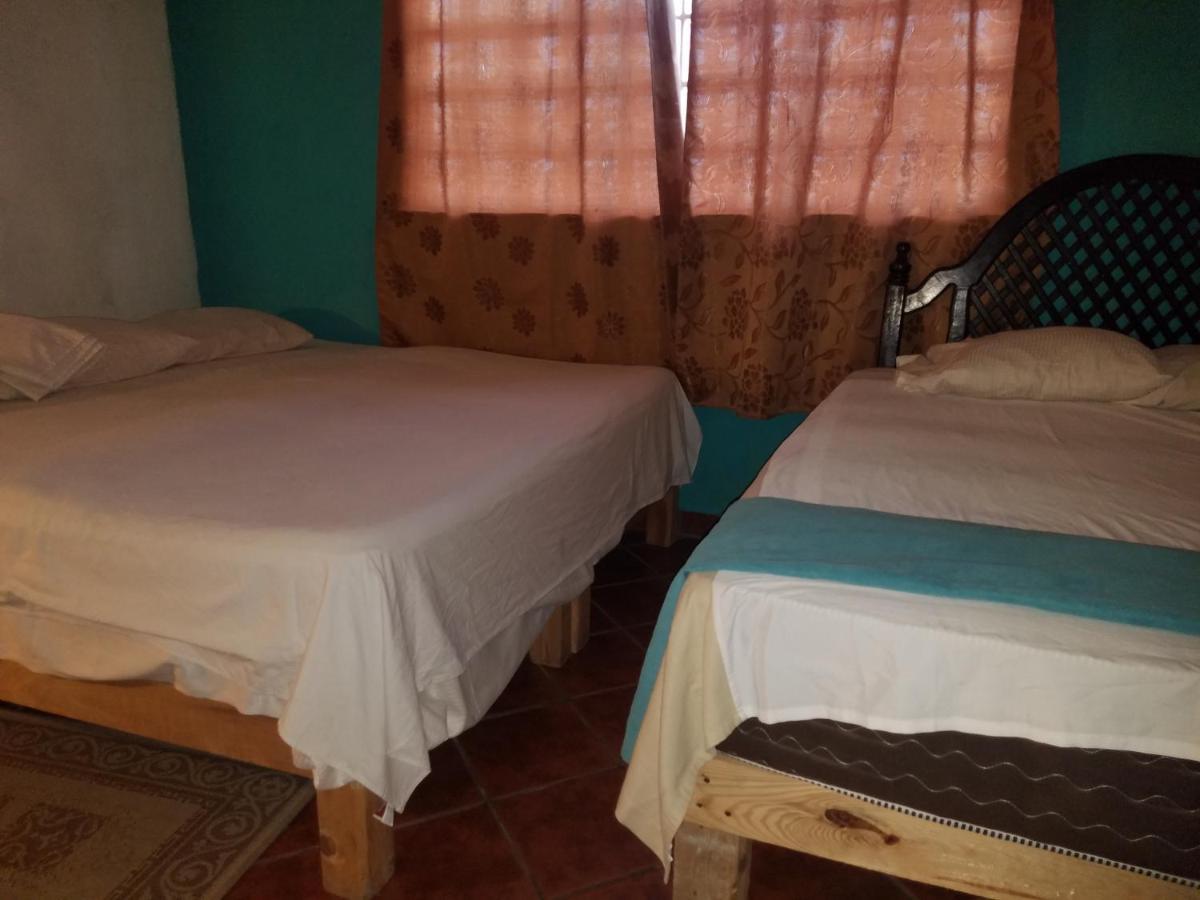 Hostal Enjoy Vallarta 19 Puerto Vallarta Bagian luar foto